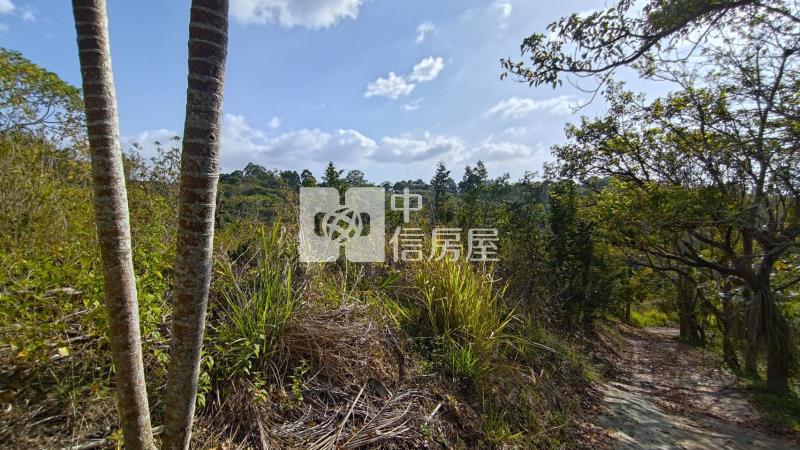 新化知母義段超值農地房屋室內格局與周邊環境