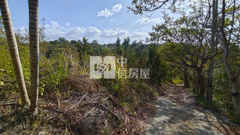 新化知母義段超值農地房屋室內格局與周邊環境