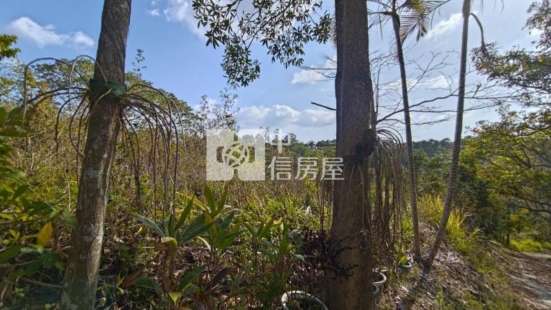 新化知母義段超值農地房屋室內格局與周邊環境