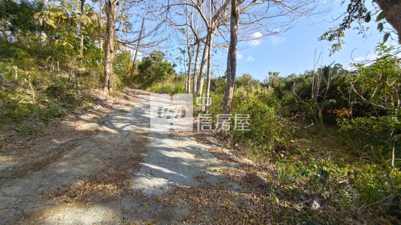 新化知母義段超值農地房屋室內格局與周邊環境