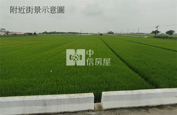 朴子鴨母寮雙面路農地房屋室內格局與周邊環境