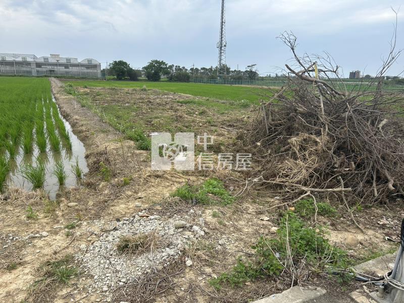【安家】新屋近農博甲建地房屋室內格局與周邊環境