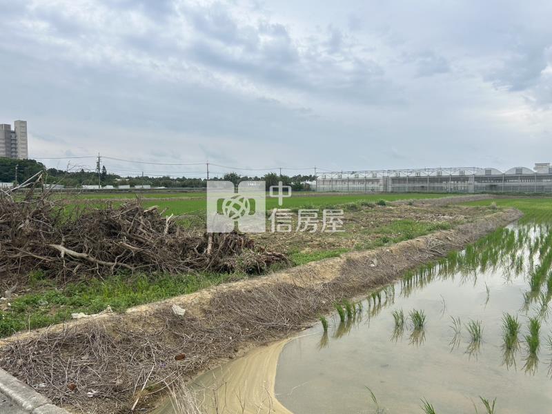 【安家】新屋近農博甲建地房屋室內格局與周邊環境