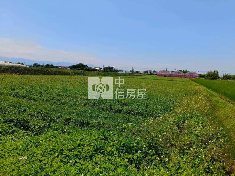 民雄日光市邊農地房屋室內格局與周邊環境
