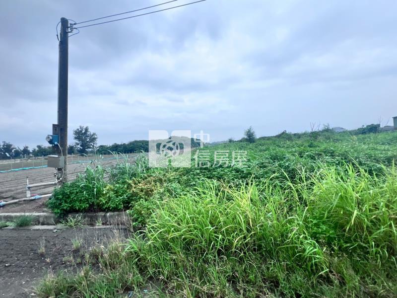 麥寮未來工業區1房屋室內格局與周邊環境