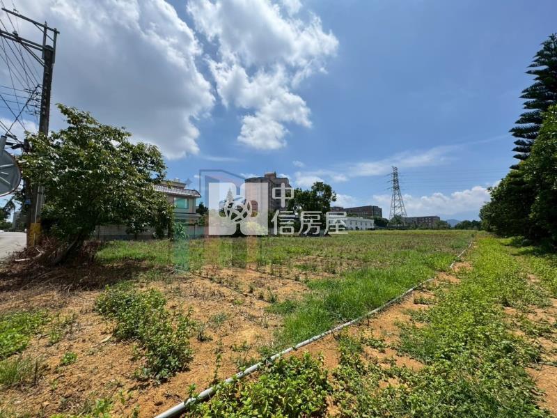 【豐禾】(專)龍潭渴望會館超市旁美農地房屋室內格局與周邊環境