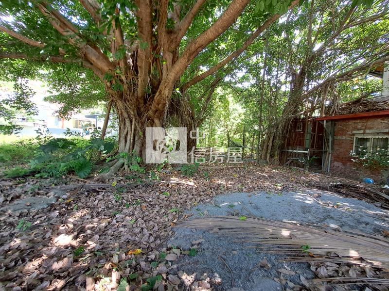 J1-20金崙溫泉區農地+屋(專任)房屋室內格局與周邊環境