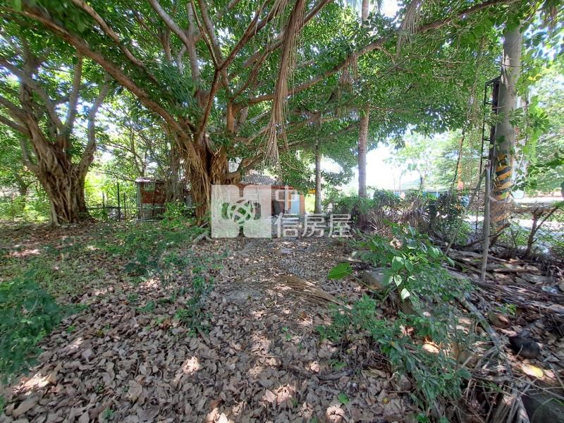 J1-20金崙溫泉區農地+屋(專任)房屋室內格局與周邊環境