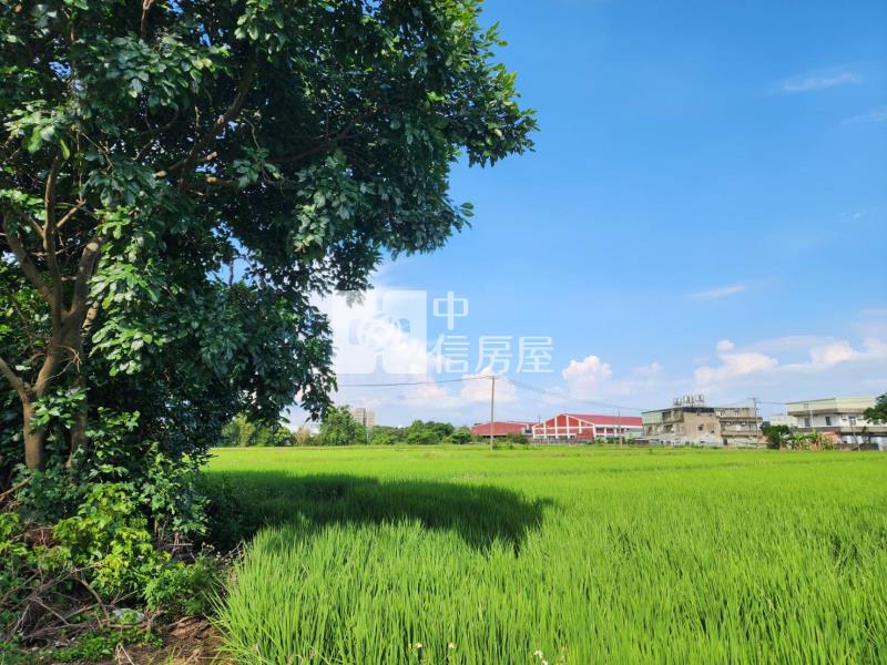 新屋台66一般農+建地房屋室內格局與周邊環境