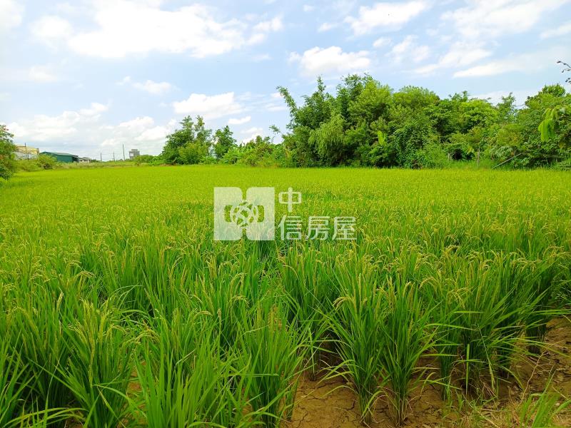 【奔馳】楊梅富元街旁農地857坪房屋室內格局與周邊環境