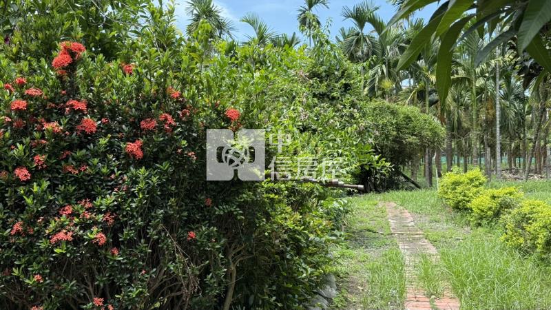 內埔飄香客棧合法農舍房屋室內格局與周邊環境