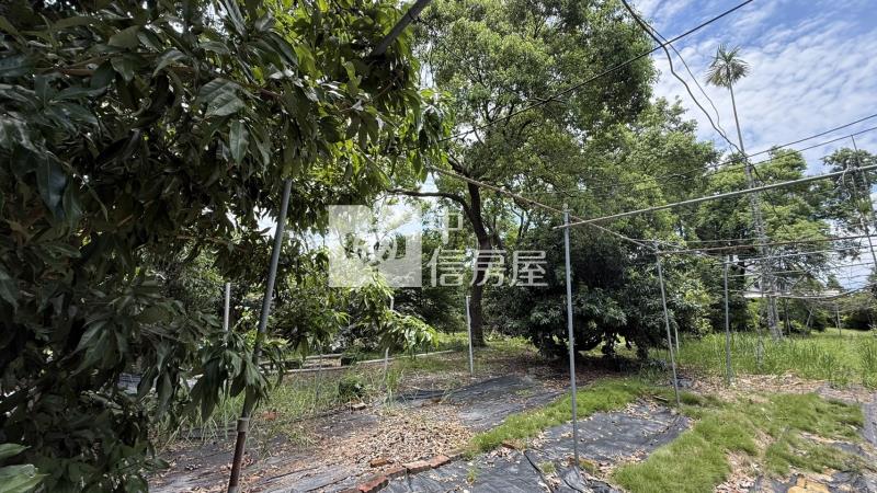 內埔飄香客棧合法農舍房屋室內格局與周邊環境