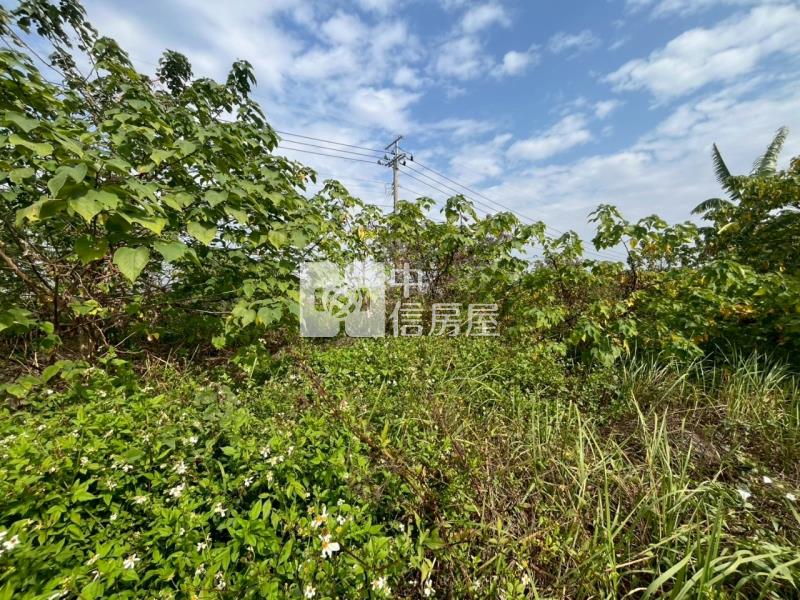 善化臨路6分段農地房屋室內格局與周邊環境