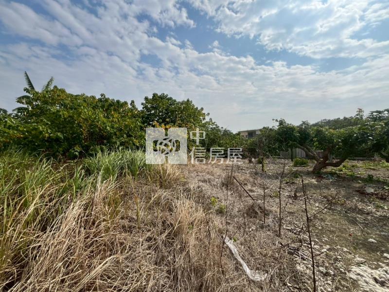 善化臨路6分段農地房屋室內格局與周邊環境