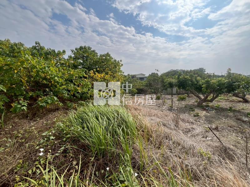 善化臨路6分段農地房屋室內格局與周邊環境