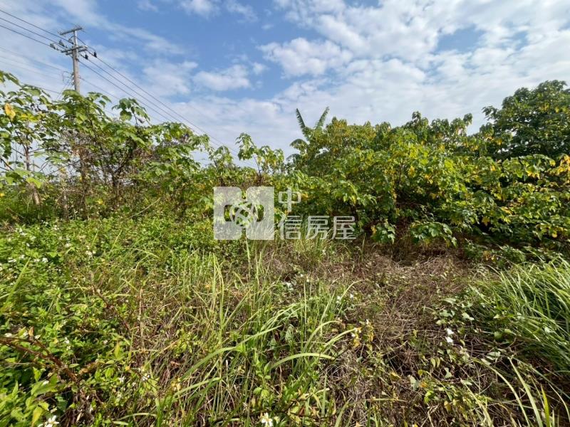善化臨路6分段農地房屋室內格局與周邊環境