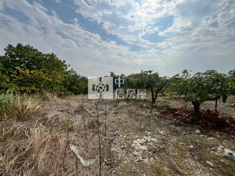 善化臨路6分段農地房屋室內格局與周邊環境