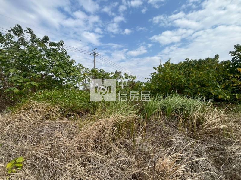 善化臨路6分段農地房屋室內格局與周邊環境