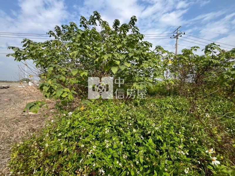 善化臨路6分段農地房屋室內格局與周邊環境