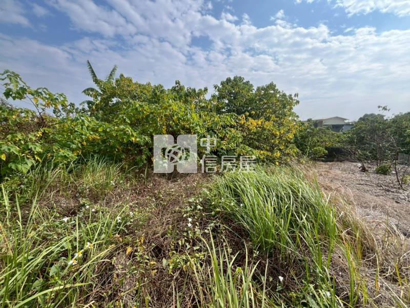 善化臨路6分段農地房屋室內格局與周邊環境
