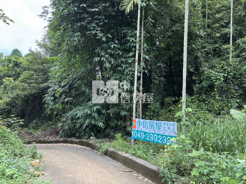 大坪頂檳榔園房屋室內格局與周邊環境