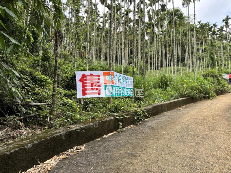 大坪頂檳榔園房屋室內格局與周邊環境
