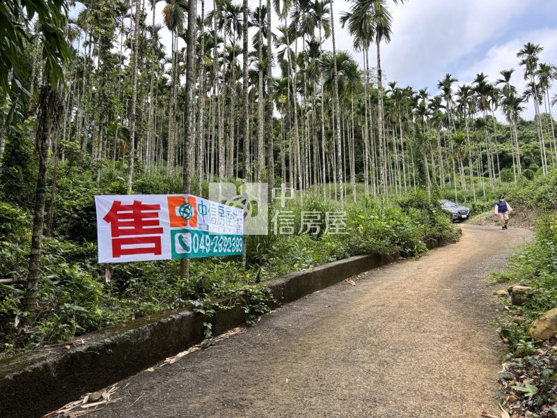 大坪頂檳榔園房屋室內格局與周邊環境