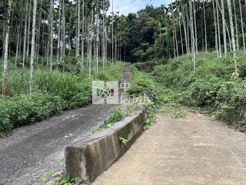 大坪頂檳榔園房屋室內格局與周邊環境