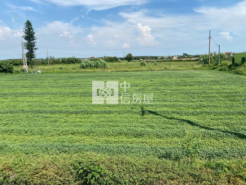 台西公館農地2房屋室內格局與周邊環境