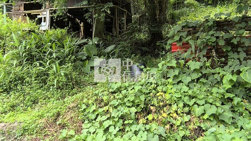 南投鼠灣-95鄉道建地房屋室內格局與周邊環境