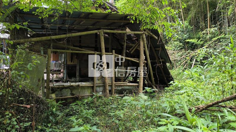 南投鼠灣-95鄉道建地房屋室內格局與周邊環境
