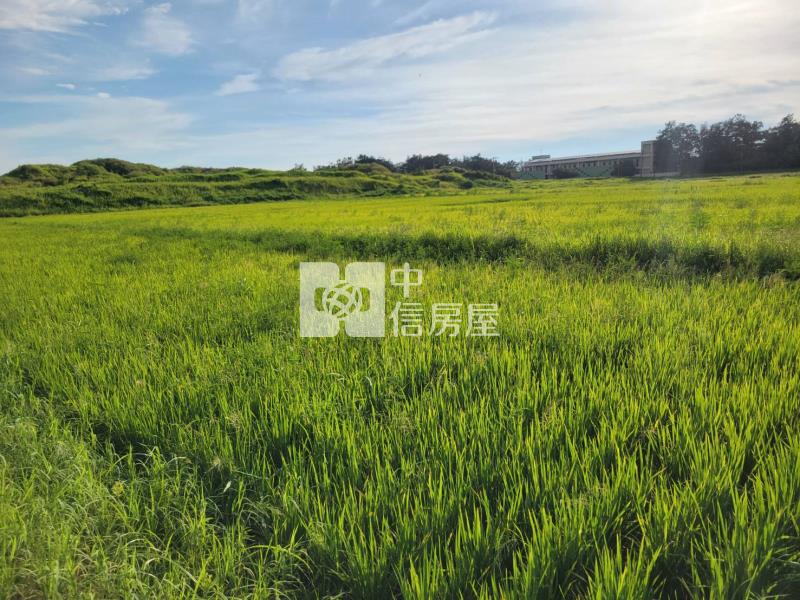 新屋台61大路邊一般農房屋室內格局與周邊環境