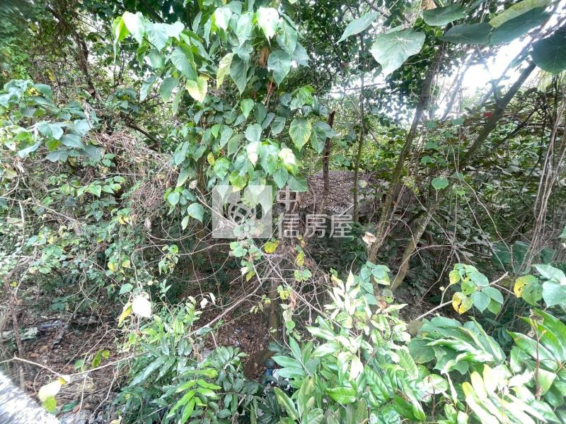 關廟許縣溪甲種建地房屋室內格局與周邊環境