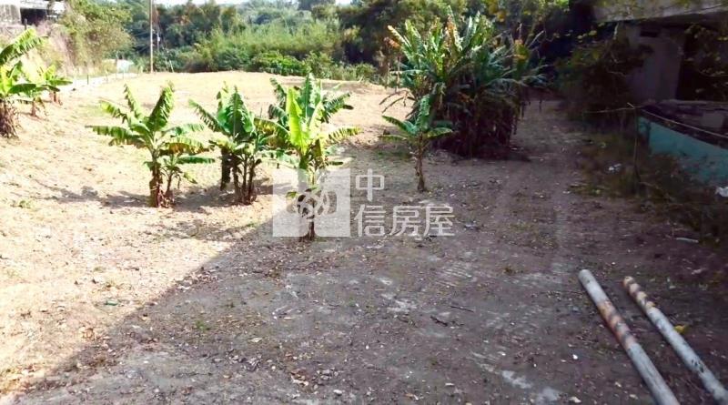 關廟許縣溪3分美一般農房屋室內格局與周邊環境
