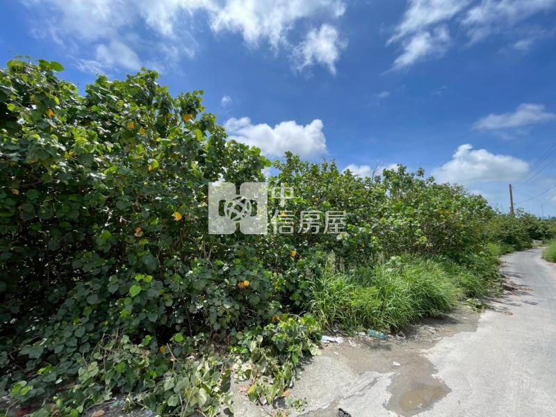 安平漁光休閒持分農地(二)房屋室內格局與周邊環境