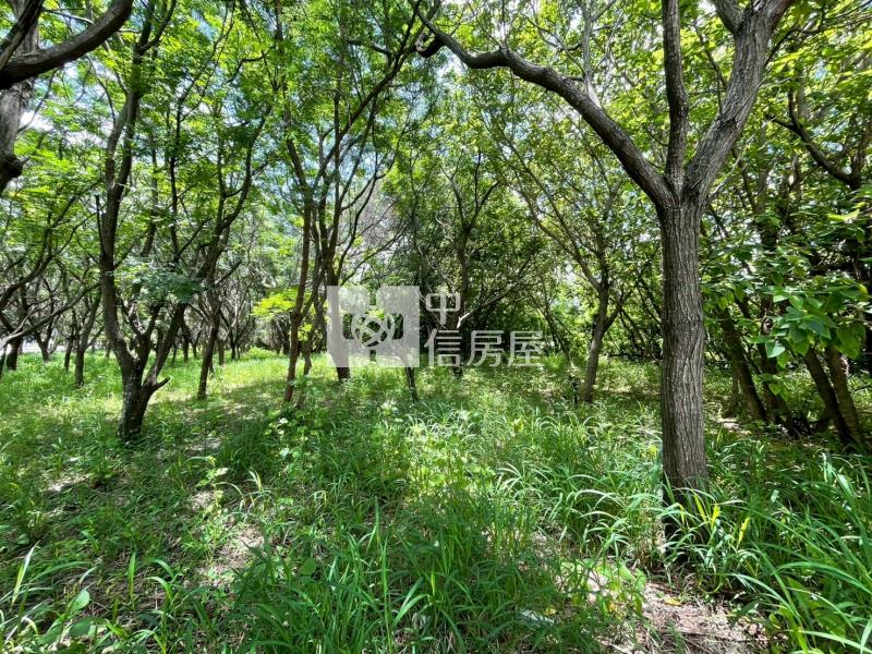 安平漁光休閒持分農地(二)房屋室內格局與周邊環境