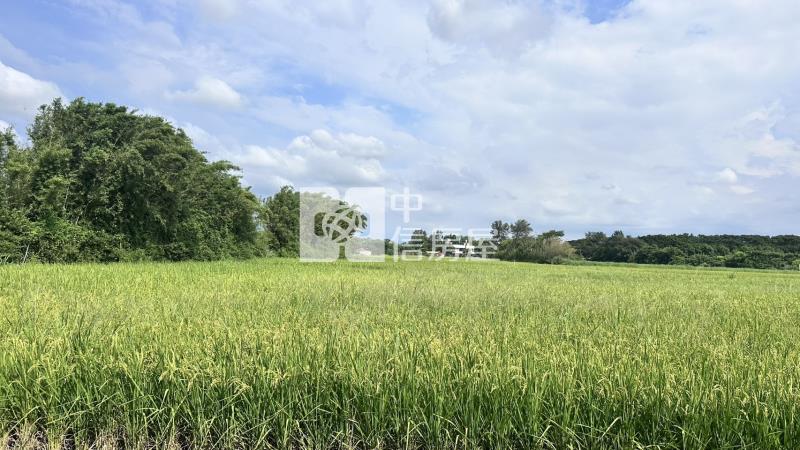 草漯重劃區旁農地房屋室內格局與周邊環境