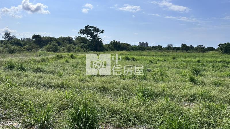 草漯重劃區旁農地房屋室內格局與周邊環境
