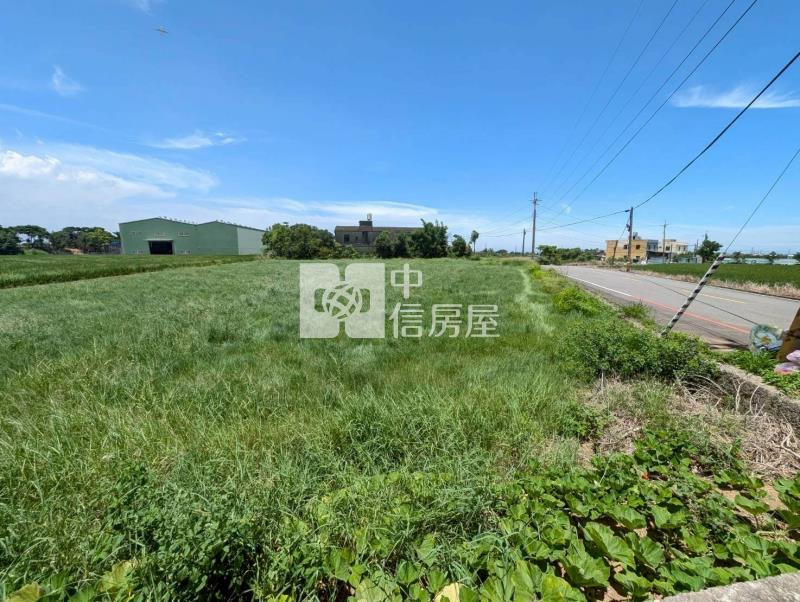 觀音上大段雙面路大面寬農地房屋室內格局與周邊環境