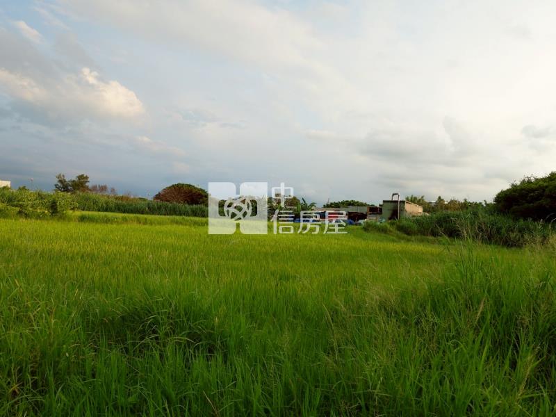 新屋文化綠廊420坪大面寬農地房屋室內格局與周邊環境