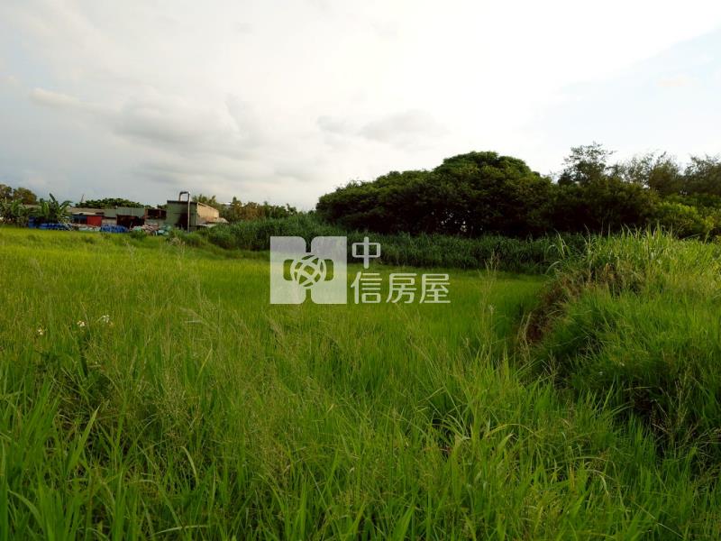 新屋文化綠廊420坪大面寬農地房屋室內格局與周邊環境