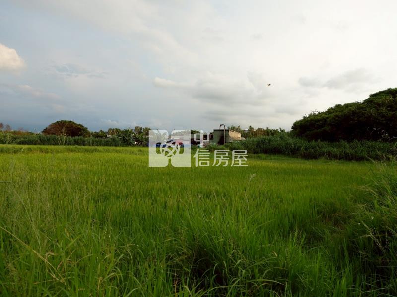 新屋文化綠廊420坪大面寬農地房屋室內格局與周邊環境
