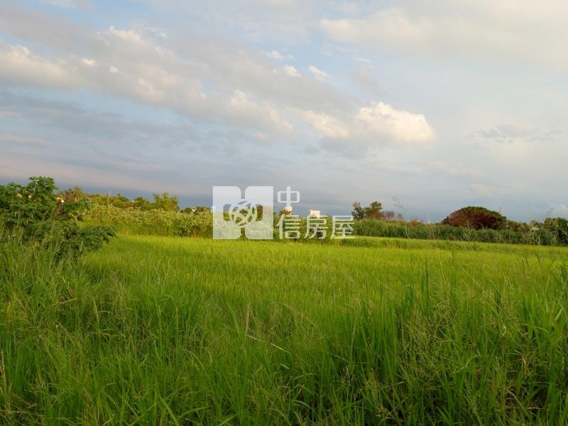 新屋文化綠廊420坪大面寬農地房屋室內格局與周邊環境