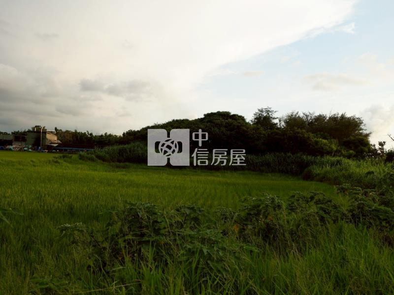 新屋文化綠廊420坪大面寬農地房屋室內格局與周邊環境