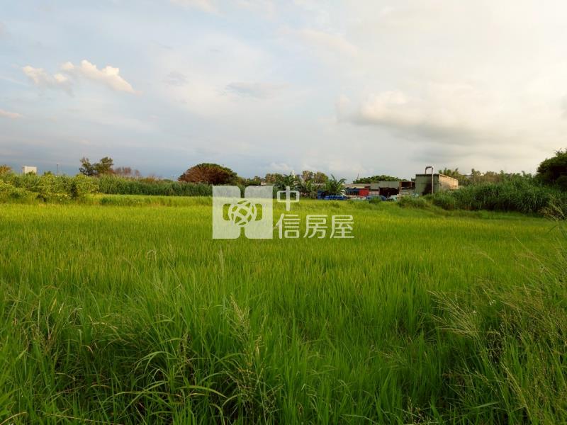 新屋文化綠廊420坪大面寬農地房屋室內格局與周邊環境