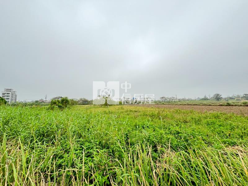 新坡國小旁前後臨路農地房屋室內格局與周邊環境