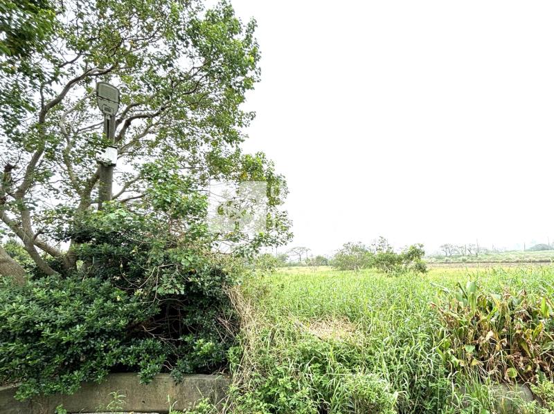 新坡國小旁前後臨路農地房屋室內格局與周邊環境