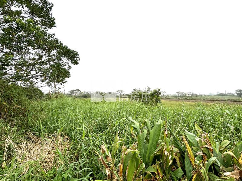 新坡國小旁前後臨路農地房屋室內格局與周邊環境