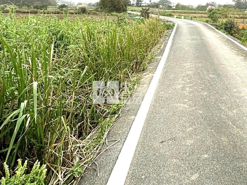 新坡國小旁前後臨路農地房屋室內格局與周邊環境