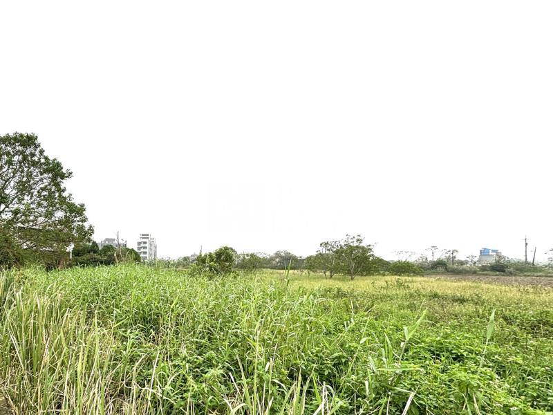 新坡國小旁前後臨路農地房屋室內格局與周邊環境